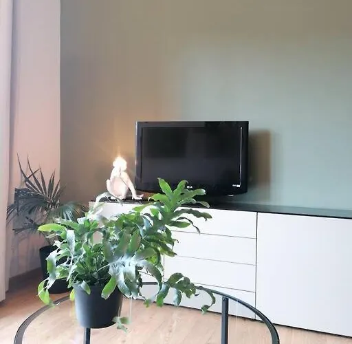 03 Centralissimo Ampio Bilocale Con Garage * Arona