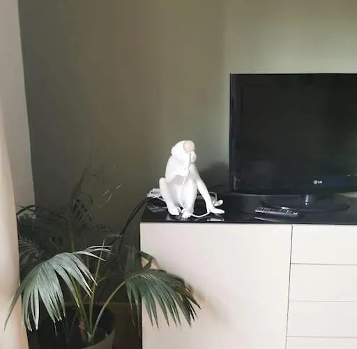 03 Centralissimo Ampio Bilocale Con Garage